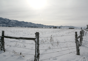 cold